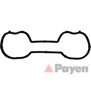 гарнитура всмукателен колектор PAYEN JD5230 