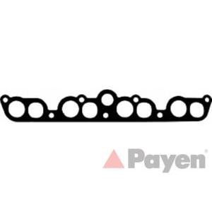 гарнитура всмукателен колектор PAYEN JD5255 
