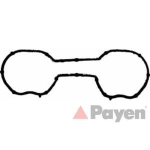 гарнитура всмукателен колектор PAYEN JD5290