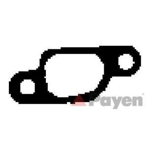 гарнитура изпускателен колектор PAYEN JD545