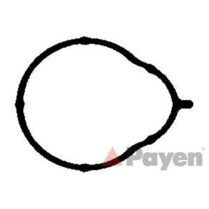 гарнитура всмукателен колектор PAYEN JD5858
