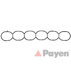 гарнитура всмукателен колектор PAYEN JD5906 