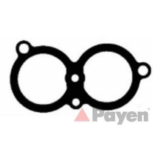 гарнитура всмукателен колектор PAYEN JD608