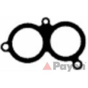 гарнитура всмукателен колектор PAYEN JD611 