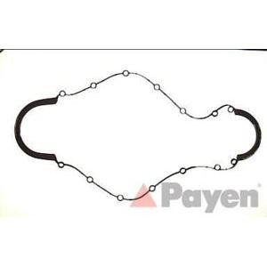 гарнитура за картер PAYEN JH5019 