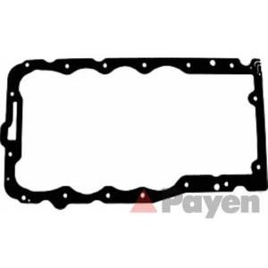 гарнитура за картер PAYEN JH5036