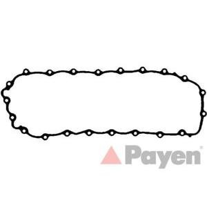 гарнитура за картер PAYEN JH5041