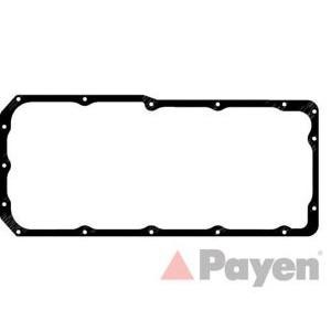 гарнитура за картер PAYEN JH5168