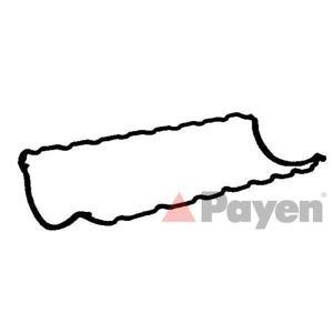 гарнитура за картер PAYEN JJ457