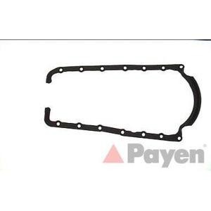 гарнитура за картер PAYEN JJ463