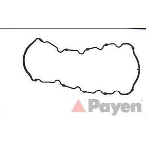гарнитура за картер PAYEN JJ531