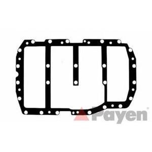 гарнитура за картер PAYEN JJ561
