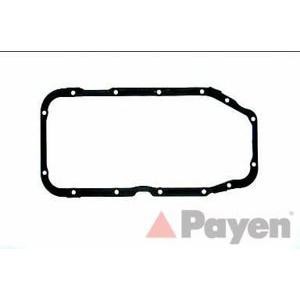 гарнитура за картер PAYEN JJ574