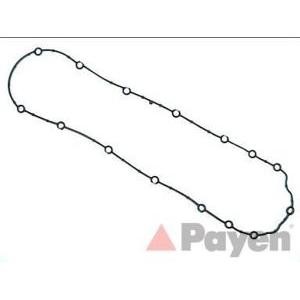гарнитура за картер PAYEN JJ575