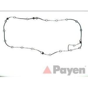 гарнитура за картер PAYEN JJ612 