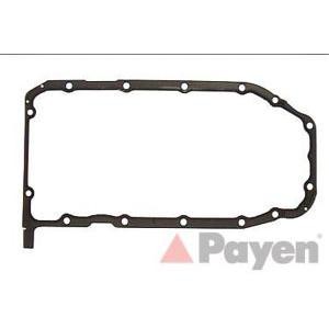 гарнитура за картер PAYEN JJ616