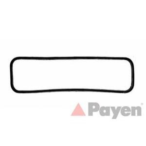 гарнитура, капак на цилиндрова глава PAYEN JM025