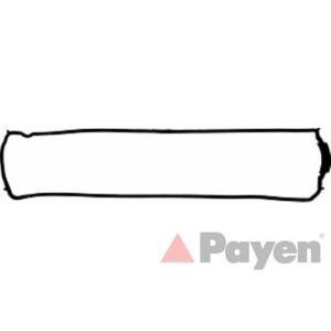 гарнитура, капак на цилиндрова глава PAYEN JM5016 