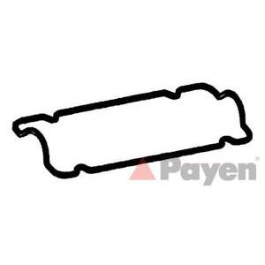 гарнитура, капак на цилиндрова глава PAYEN JM5019