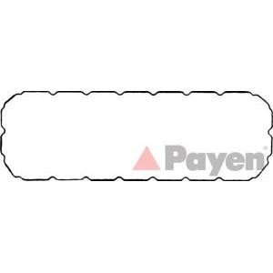 гарнитура, капак на цилиндрова глава PAYEN JM5026