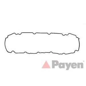 гарнитура, капак на цилиндрова глава PAYEN JM5045