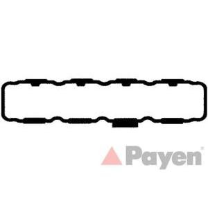 гарнитура, капак на цилиндрова глава PAYEN JM5086