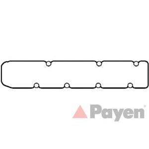 гарнитура, капак на цилиндрова глава PAYEN JM5087
