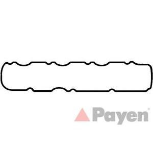 гарнитура, капак на цилиндрова глава PAYEN JM5088