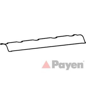 гарнитура, капак на цилиндрова глава PAYEN JM5089