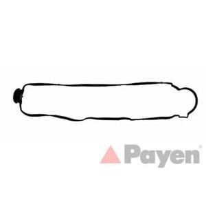 гарнитура, капак на цилиндрова глава PAYEN JM5095 