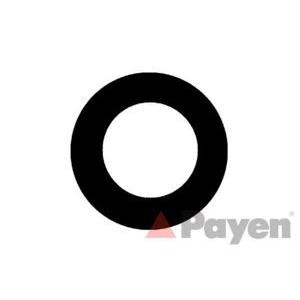 дихтунг, свещи PAYEN JM5111