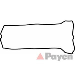 гарнитура, капак на цилиндрова глава PAYEN JM5114
