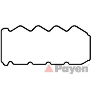 гарнитура, капак на цилиндрова глава PAYEN JM5137
