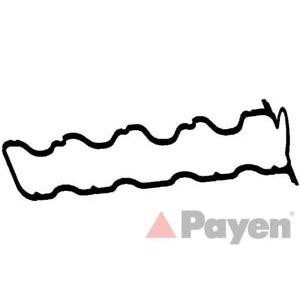 гарнитура, капак на цилиндрова глава PAYEN JM5146