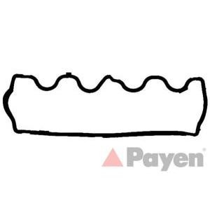 гарнитура, капак на цилиндрова глава PAYEN JM5204 