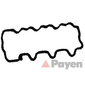 гарнитура, капак на цилиндрова глава PAYEN JM5236
