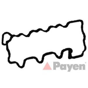 гарнитура, капак на цилиндрова глава PAYEN JM5237