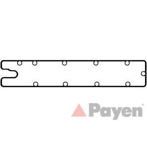 гарнитура, капак на цилиндрова глава PAYEN JM5283 