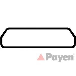 гарнитура, капак на цилиндрова глава PAYEN JM5285 