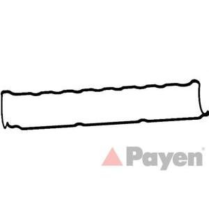 гарнитура, капак на цилиндрова глава PAYEN JM7054