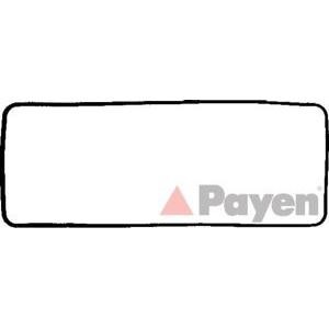 гарнитура, капак на цилиндрова глава PAYEN JN292