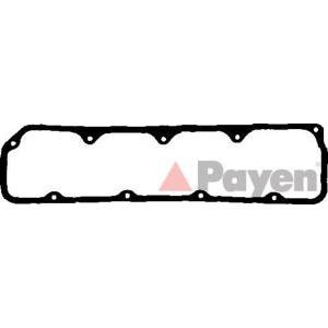 гарнитура, капак на цилиндрова глава PAYEN JN460