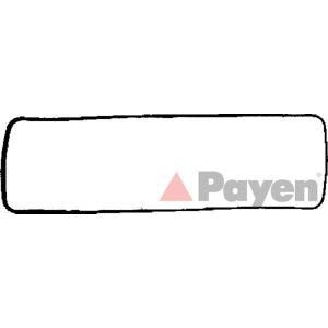 гарнитура, капак на цилиндрова глава PAYEN JN600