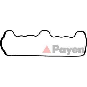 гарнитура, капак на цилиндрова глава PAYEN JN776 