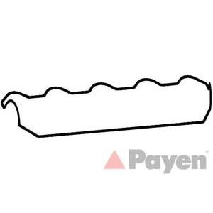 гарнитура, капак на цилиндрова глава PAYEN JP006 