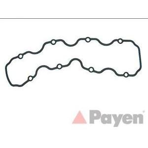 гарнитура, капак на цилиндрова глава PAYEN JP018