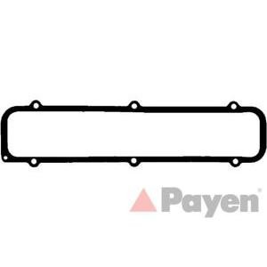 гарнитура, капак на цилиндрова глава PAYEN JP049