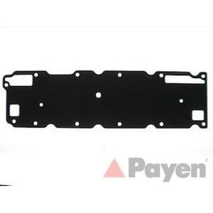 гарнитура, капак на цилиндрова глава PAYEN JP065 