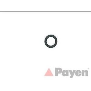 гарнитура, капак на цилиндрова глава PAYEN JP077 