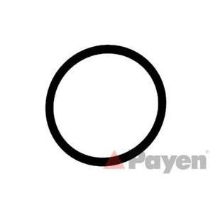 гарнитура всмукателен колектор PAYEN LA5204 